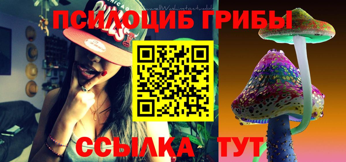 Галлюциногенные грибы Magic Shrooms Курчатов