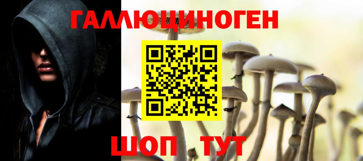 Галлюциногенные грибы GOLDEN TEACHER  Галлюциногенные грибы Psilocybe  Вход с VPN  Курчатов 